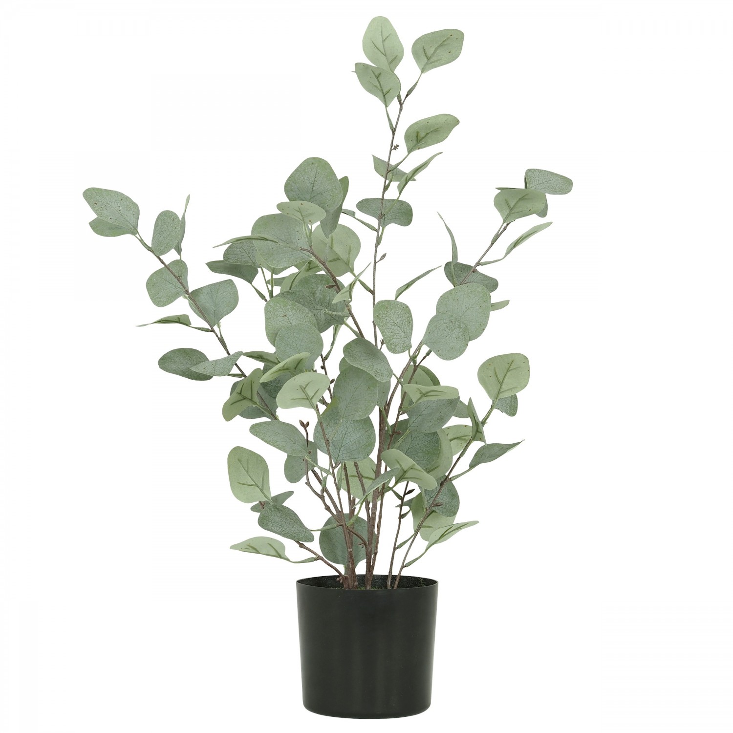 Eucalyptus artificiel effet blanchi 60cm