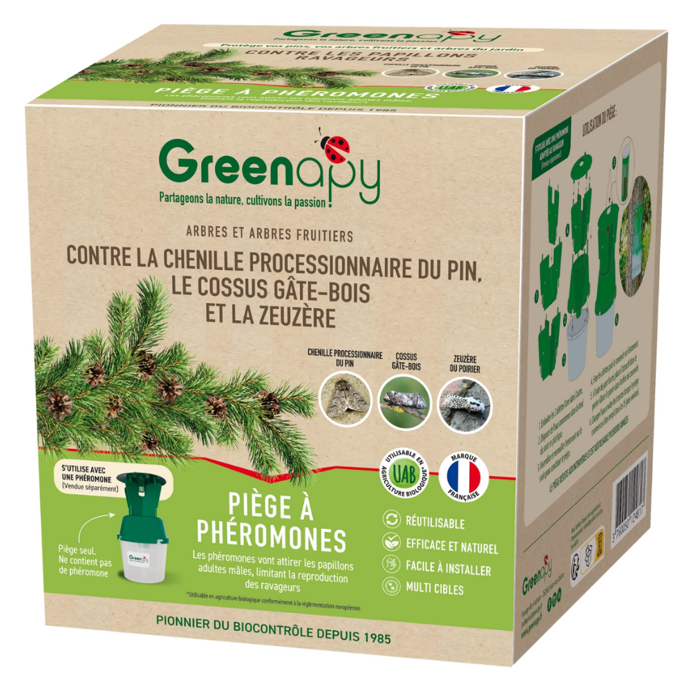 Piège entonnoir à ailettes : processionnaire du pin