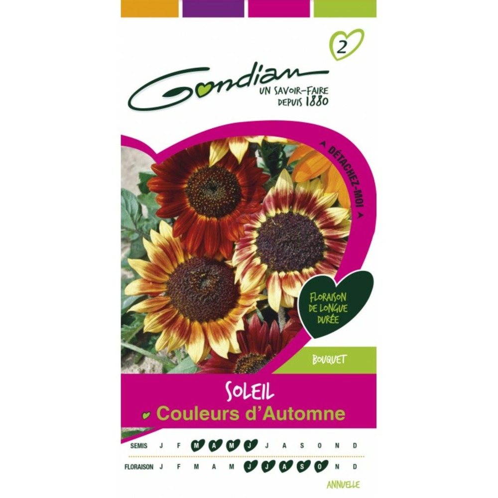 Soleil couleus d'automne