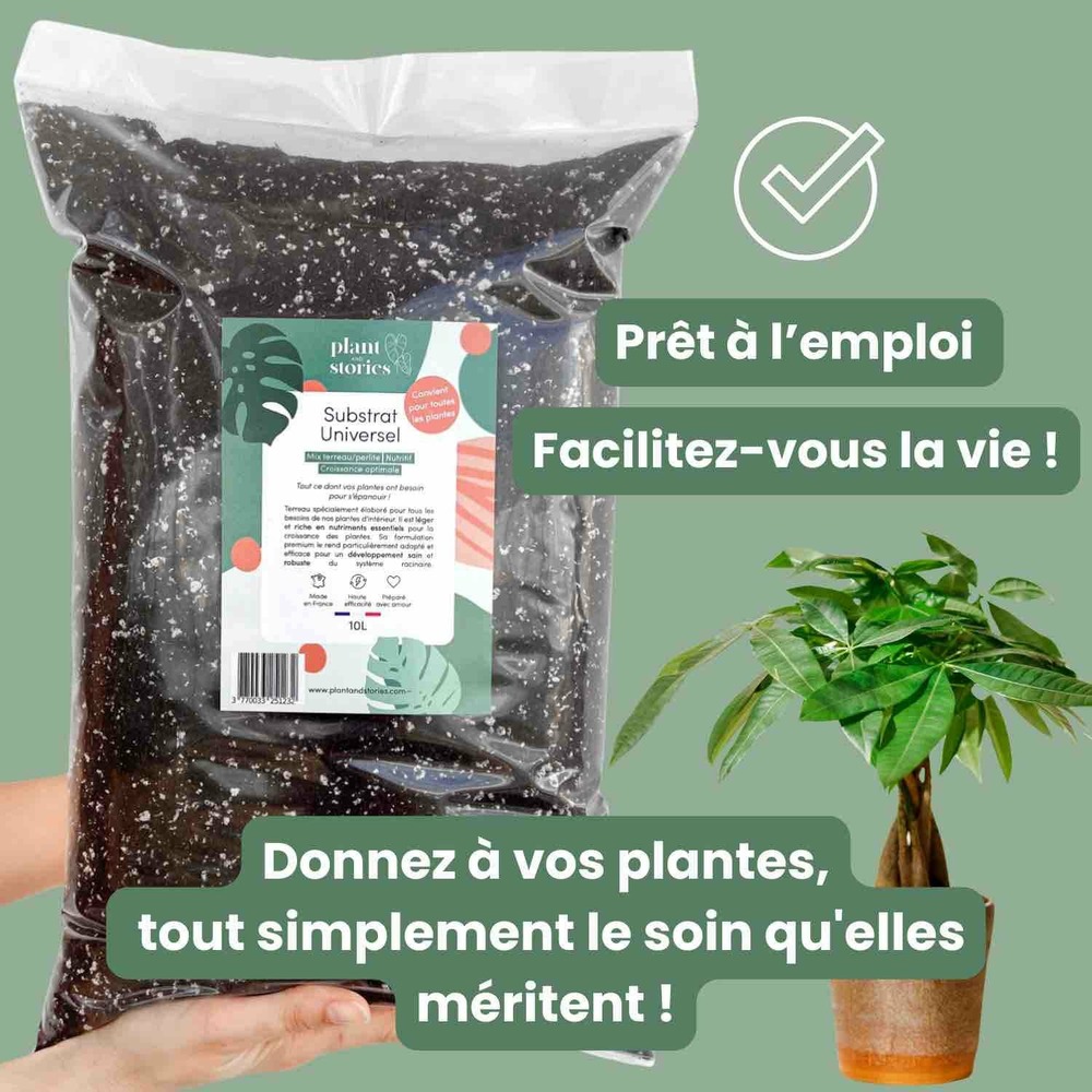 Substrat universel enrichi en mycorhize et bacillus - qualité supérieure - terreau universel - 10l