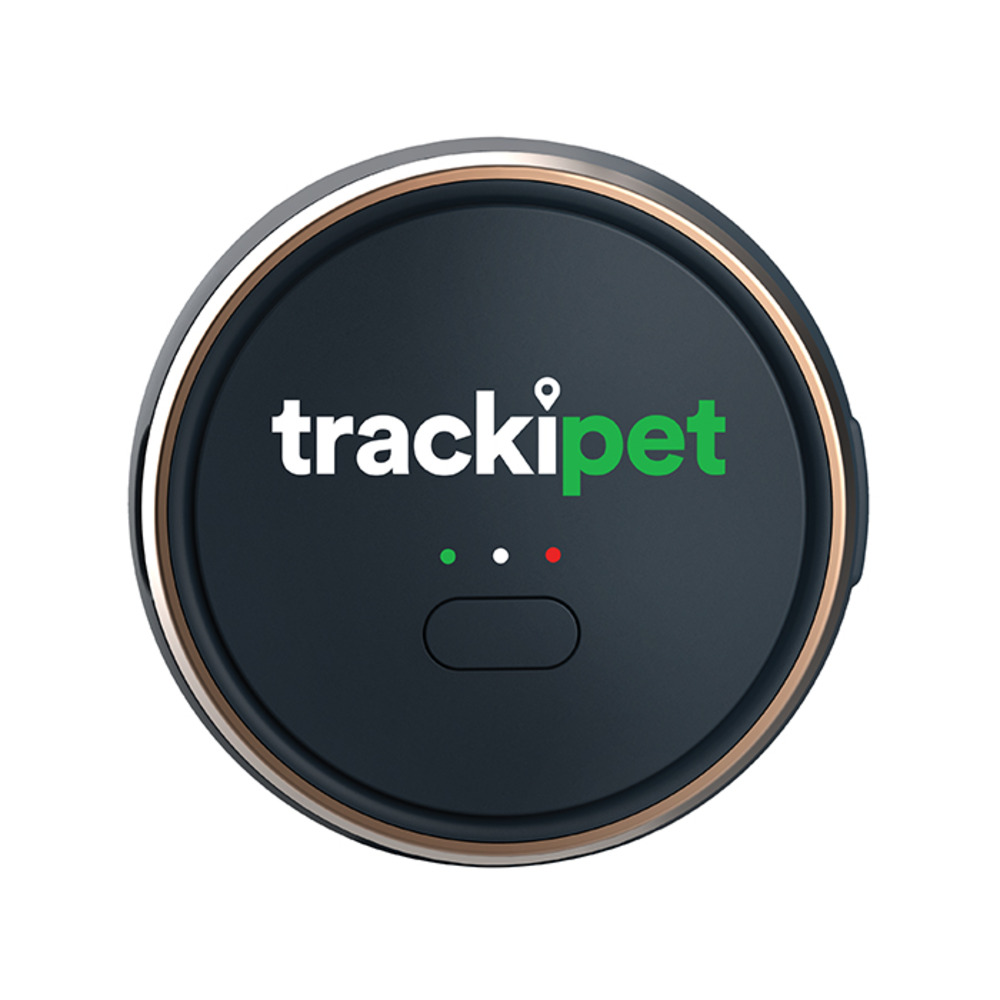 Gps trackipet pour chiens+abonnement 3 mois inclus - connectivité 24/24+7/7