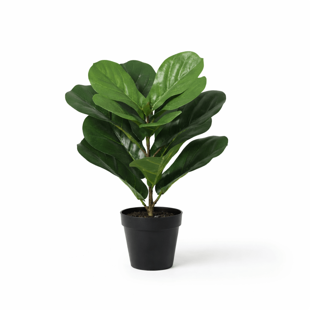 Ficus lyrata - 40cm - ø8cm - plante artificielle
