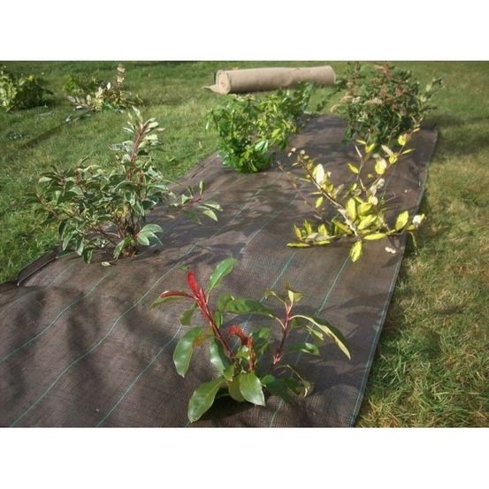 Toile de paillage tissée - 1.05 m x 20 m - vert
