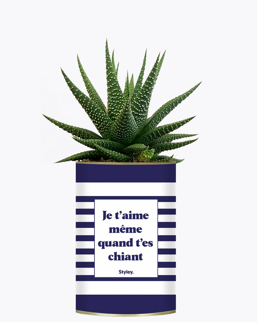 Idée cadeau - je t'aime même quand t'es chiant - cactus