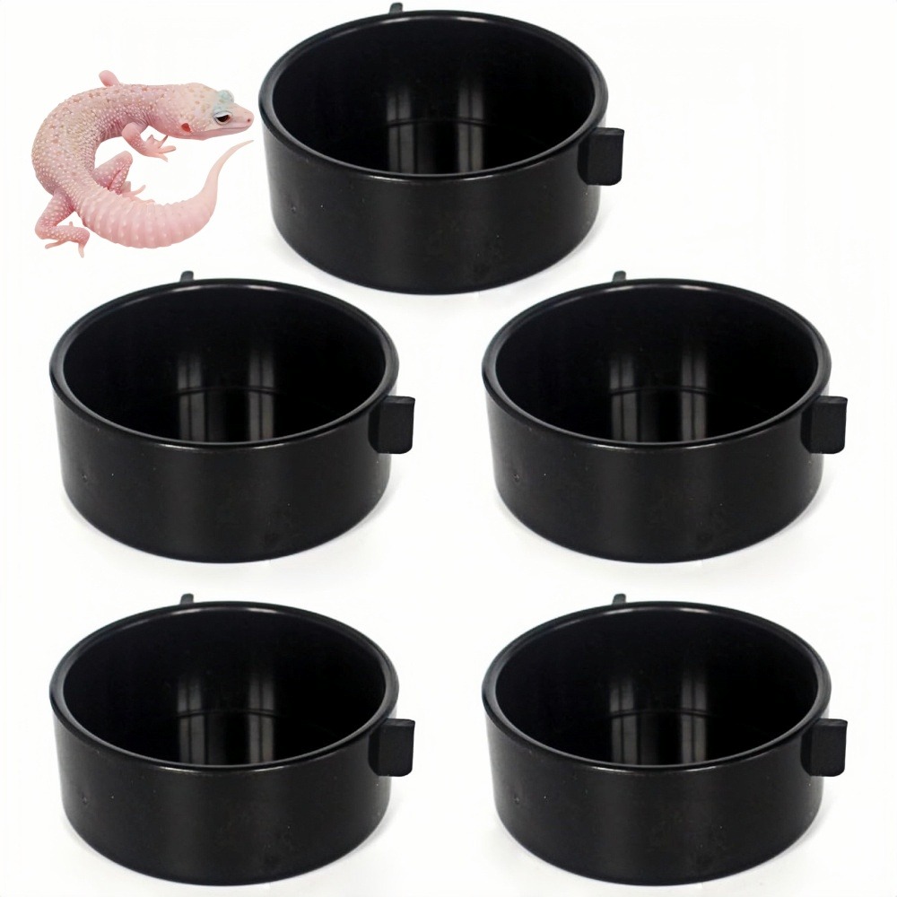 Récipient d'alimentation - accessoires pour aquarium de reptiles