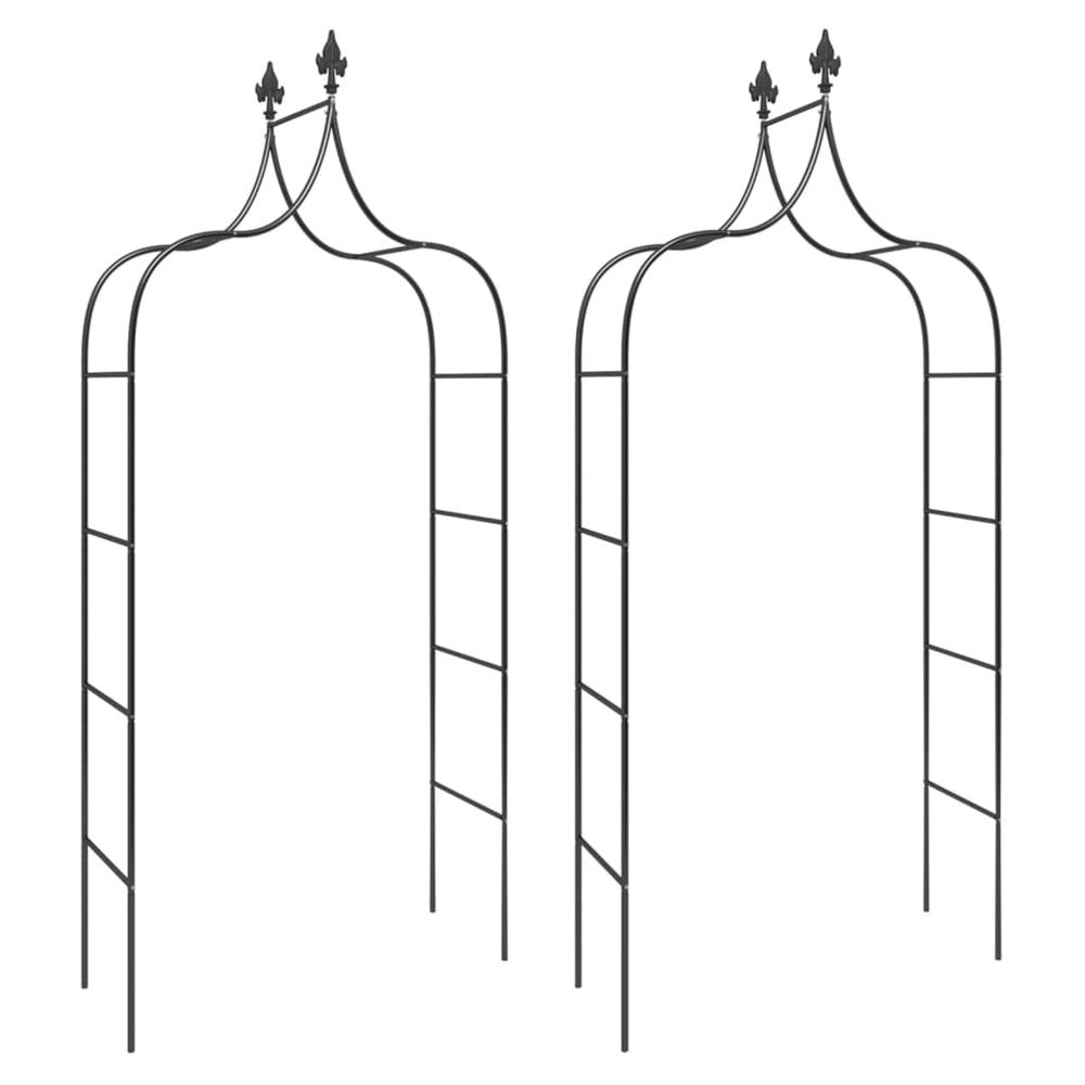 Arches de jardin 2 pcs noir 120x38x260 cm acier