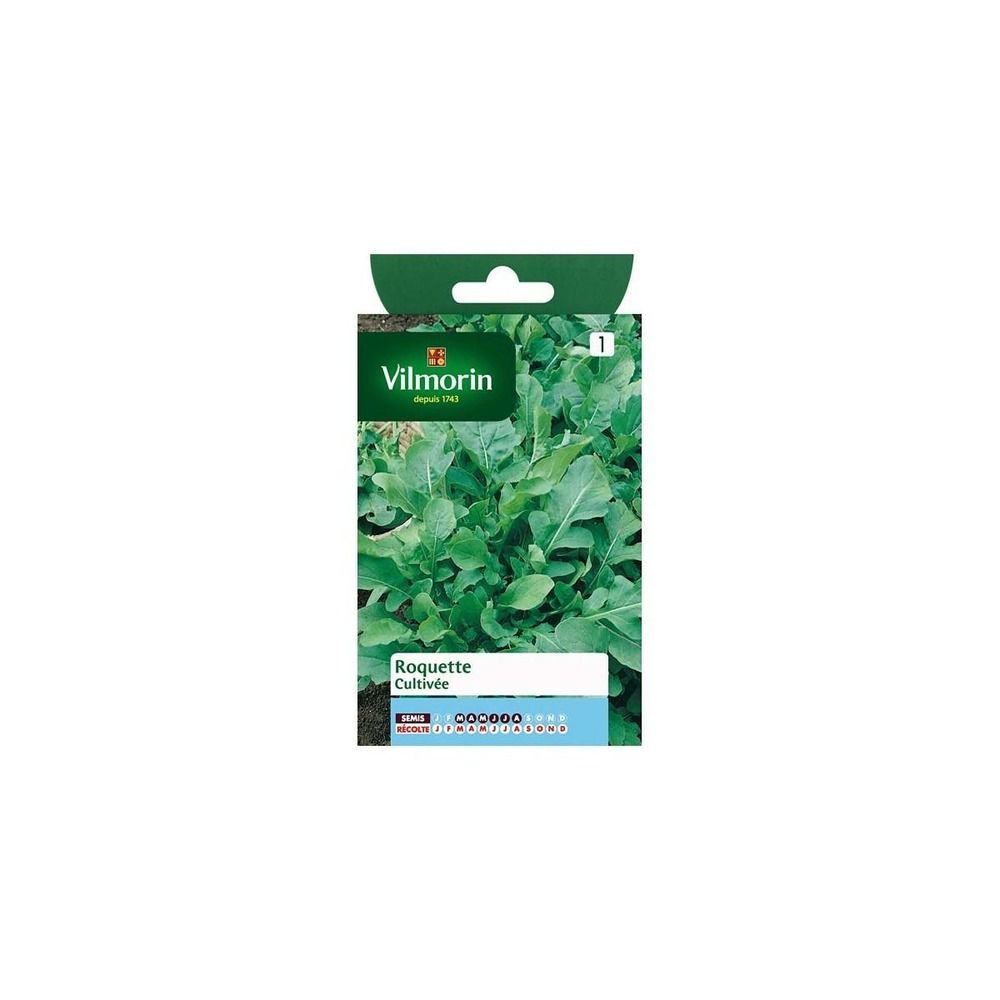 Sachet graines roquette cultivée