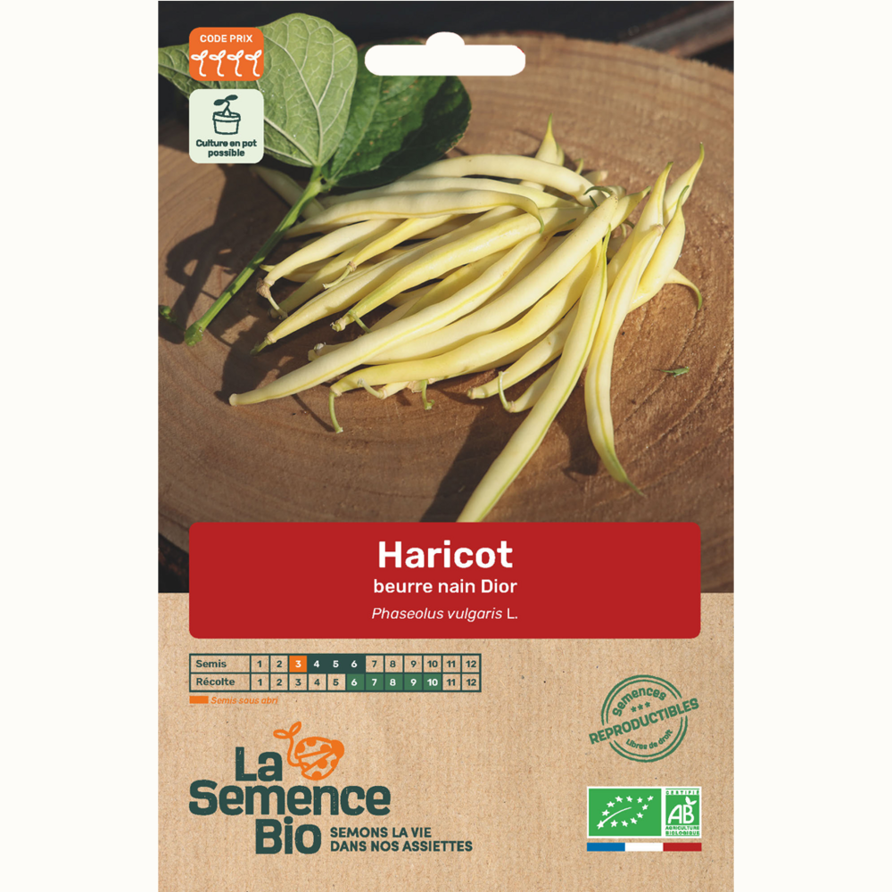 Haricot beurre nain dior - graines bio