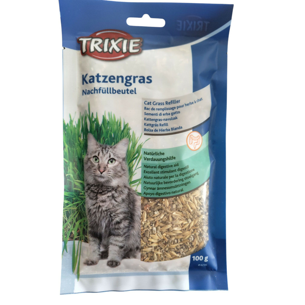 Herbe à chat orges sachet de 100 g