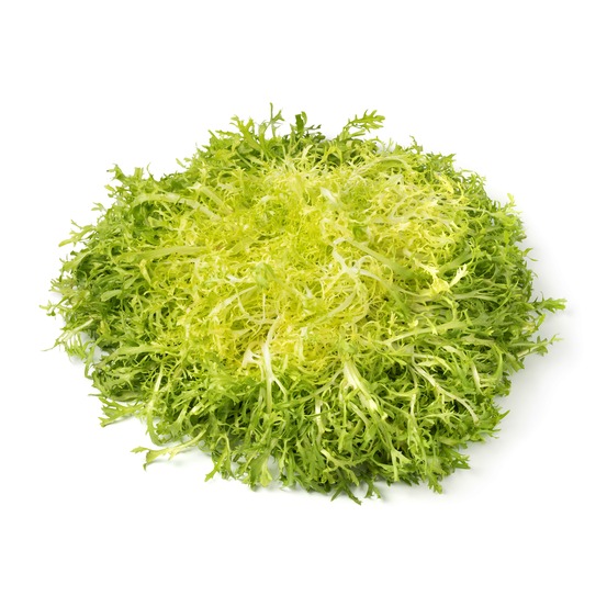 Sachet de graines de chicorée frisée très fine maraîchère - sachet de 4 grammes - petite entreprise française