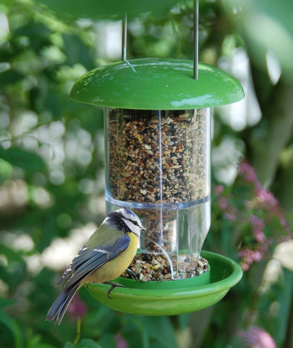 Mangeoire a oiseaux - a suspendre
