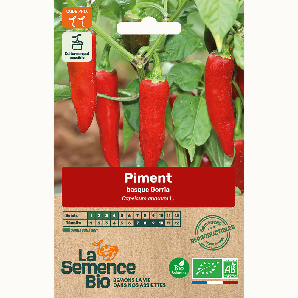 Piment gorria - graines bio