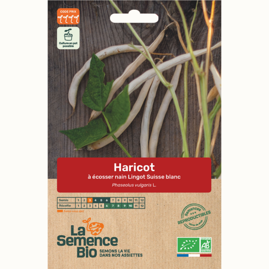 Haricot à écosser blanc nain lingot suisse - graines bio