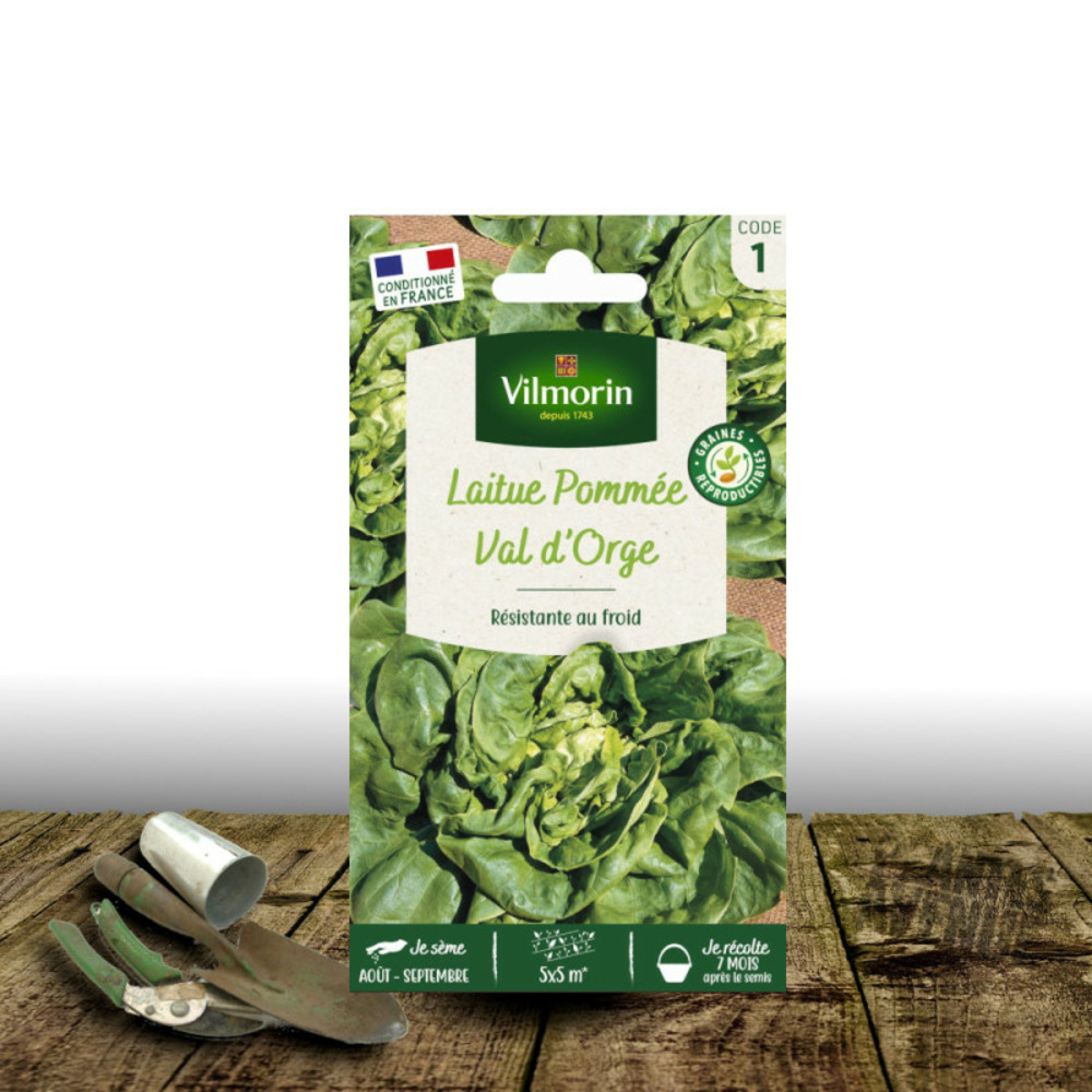 Graines de laitue pommée val d'orge - vilmorin sachet