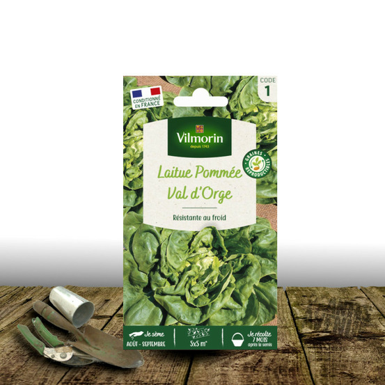 Graines de laitue pommée val d'orge - vilmorin sachet