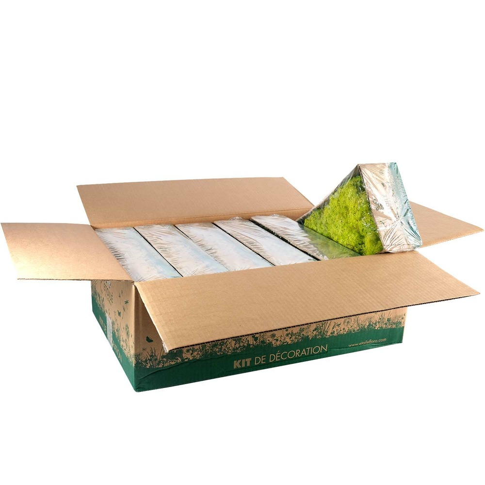 Lic/0555 lichen stabilisée printemps w-box 0,5 kg