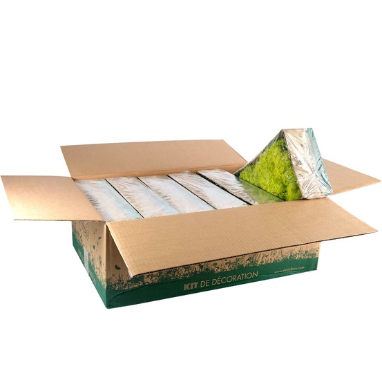 Lic/0555 lichen stabilisée printemps w-box 0,5 kg