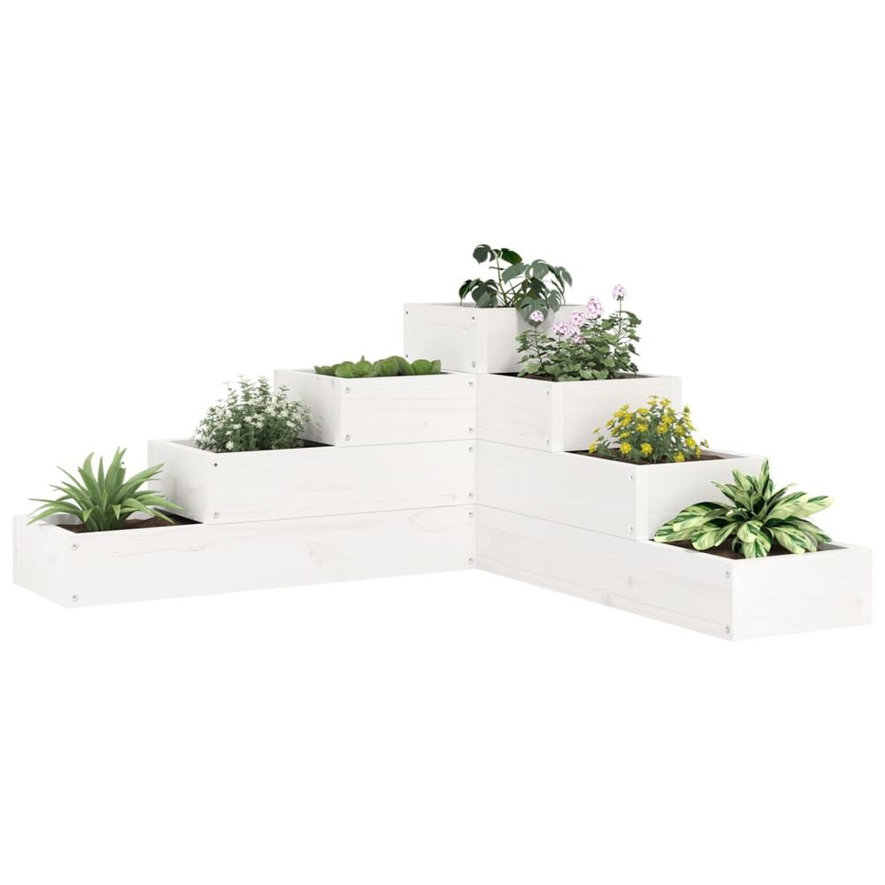 Jardinière d'angle 4 niveaux en bois de pin blanc pour terrasse