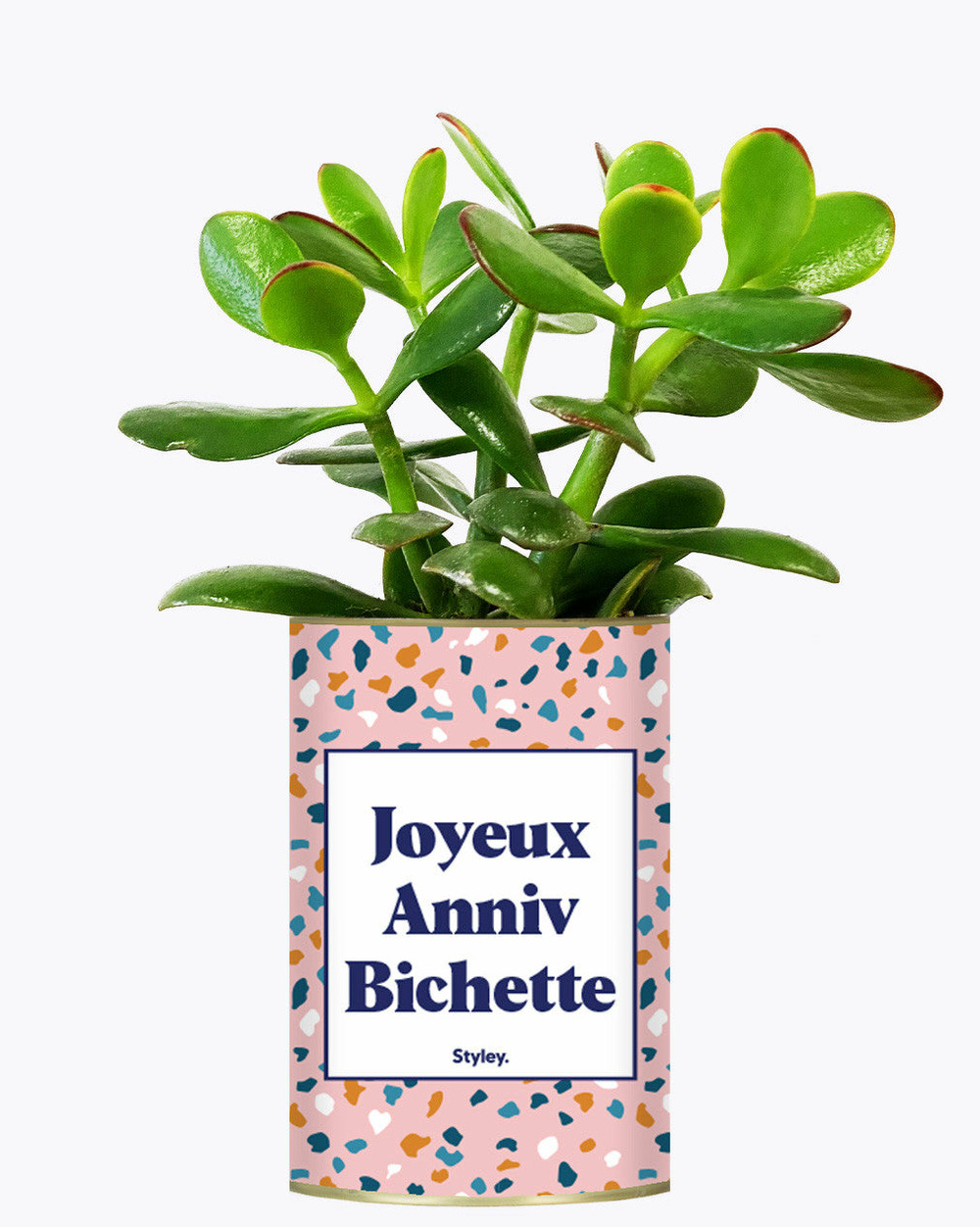Plante drôle - joyeux anniv bichette - plante