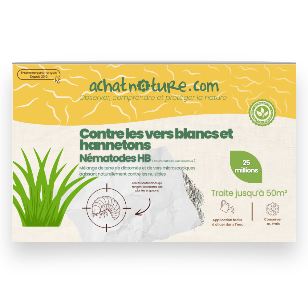 Nématodes hb contre vers blancs et hannetons - 25 millions - 50 m²