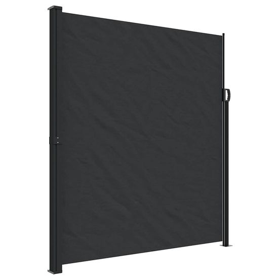 Auvent latéral rétractable noir 220x300 cm