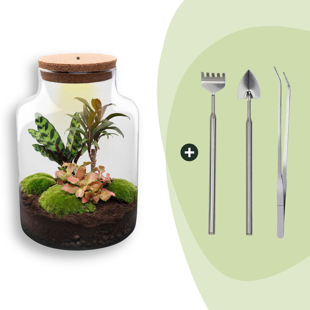 Diy terrarium - h30 cm - ø30 cm - 30cm