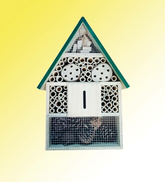 Palace a insectes - abris