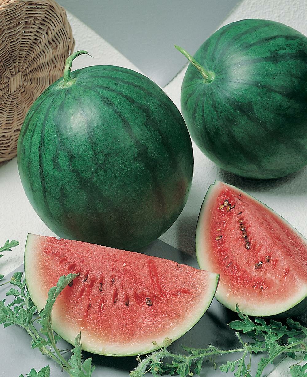 Pasteque sugar baby - 2 g