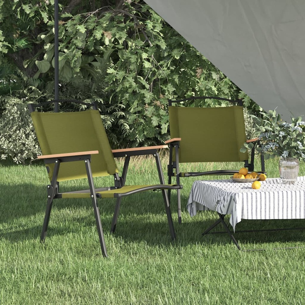 Chaises de camping lot de 2 vert 54x55x78 cm tissu oxford