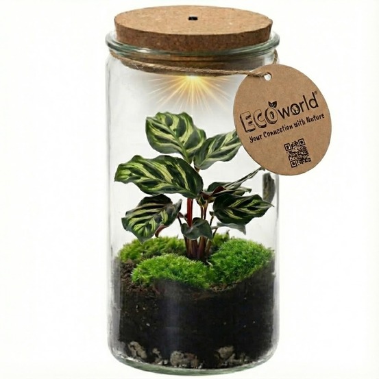 Mini terrarium pour plantes ø 11 cm - écosystème fermé
