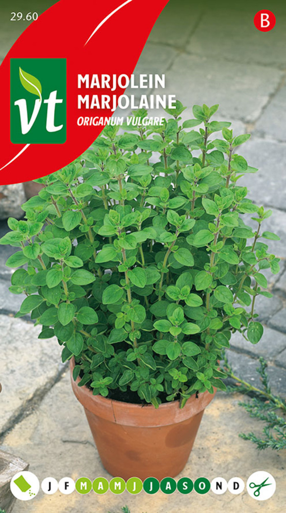 Marjolaine - ca. 0,4 gr (livraison gratuite)