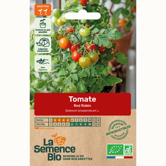 Tomate red robin - graines bio