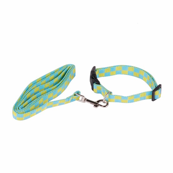 Collier laisse pour chien - taille m