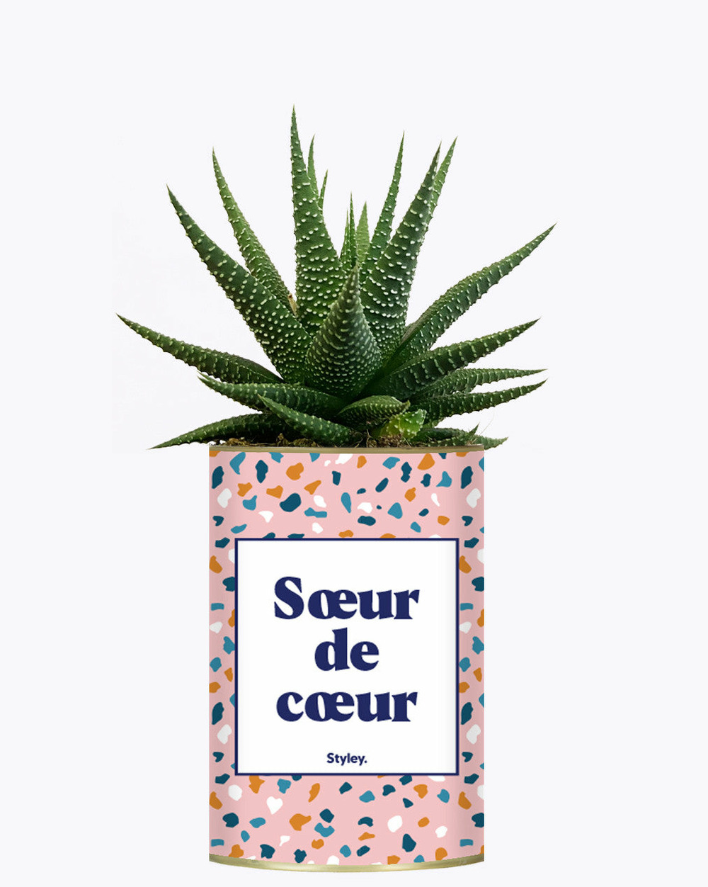 Plante personnalisée - soeur de coeur - plante