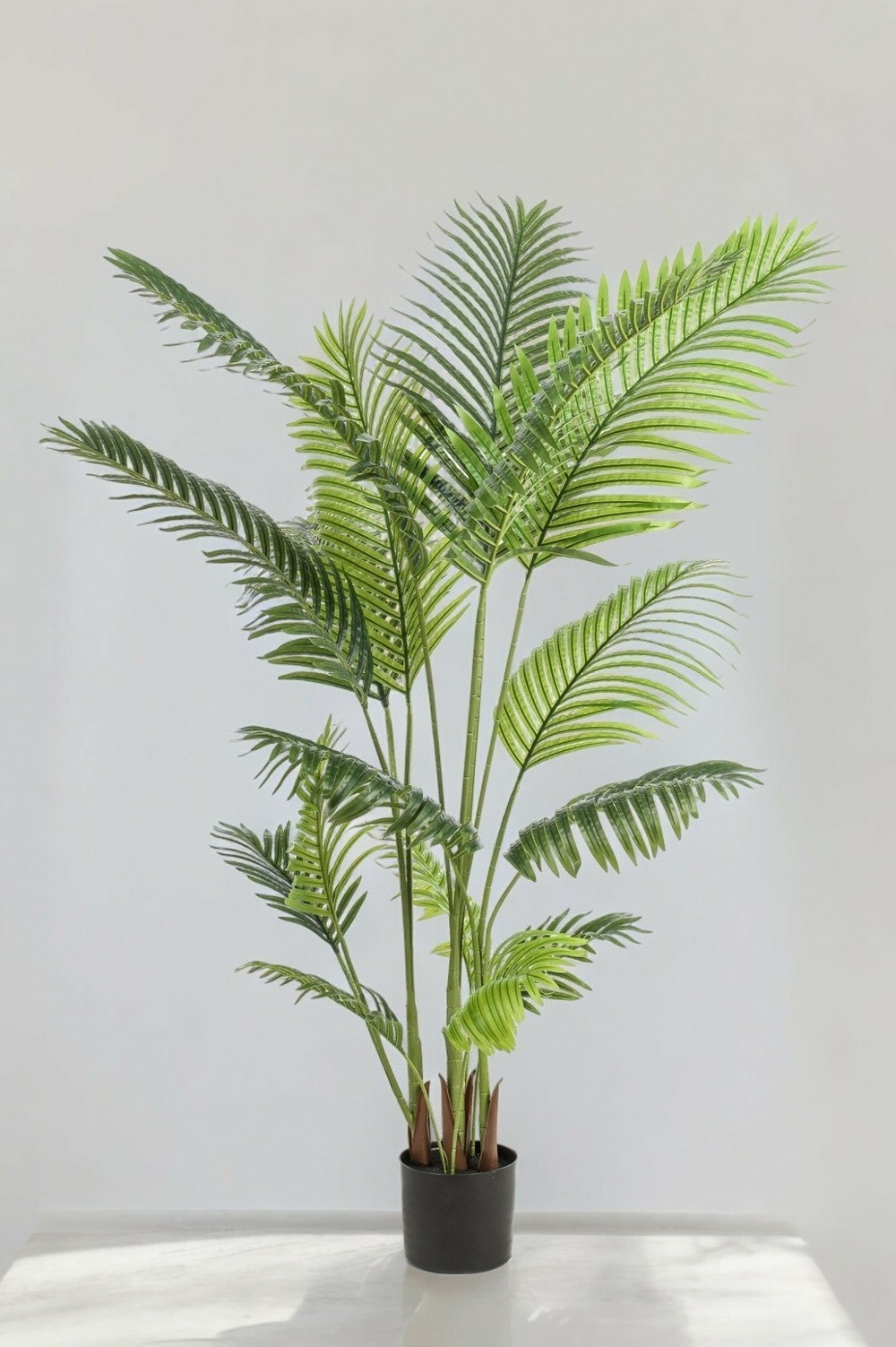 Howea forsteriana plante artificielle - h160cm, ø15cm