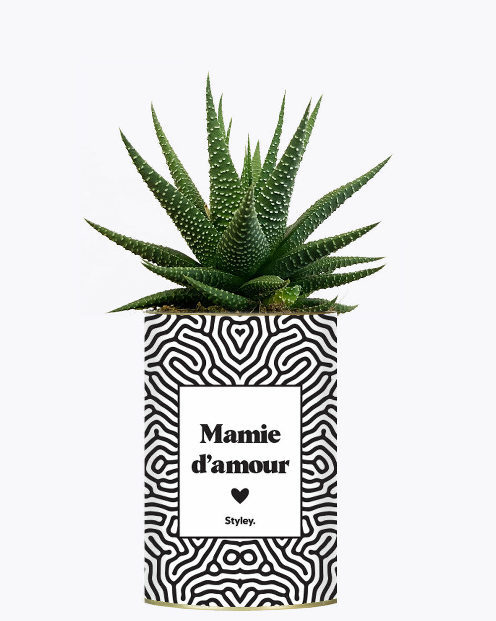 Idée cadeau - mamie d'amour - cactus