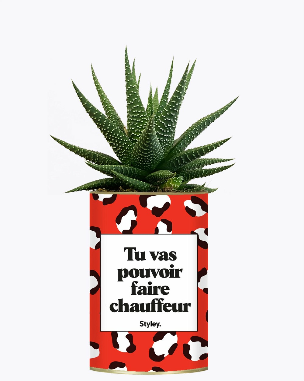 Idée cadeau - tu vas pouvoir faire chauffeur - cactus
