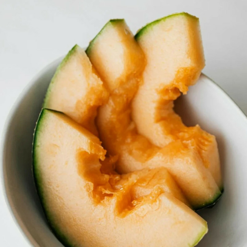 Plant de melon petit gris de rennes hf1 godet