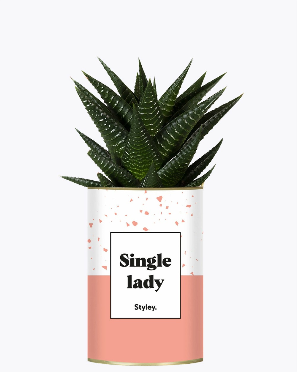 Plante personnalisée - single lady - cactus