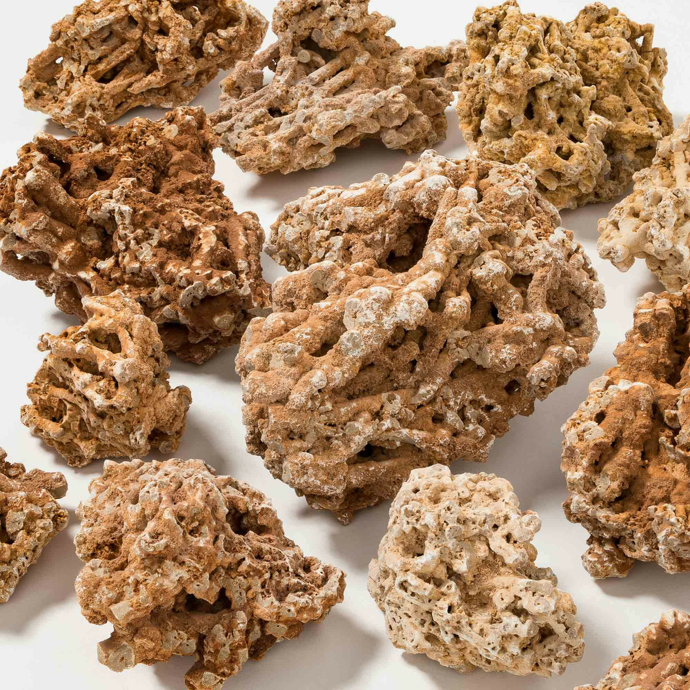 Roche spaghetti rosso 10-20 cm - filet de 10 kg - ro'ma nature