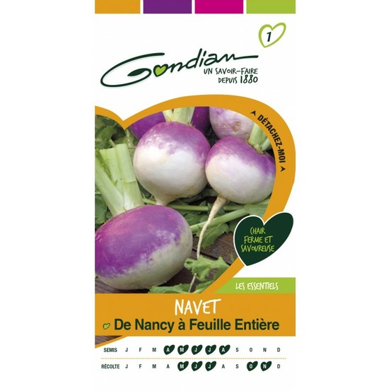 Navet de nancy a feuille entière