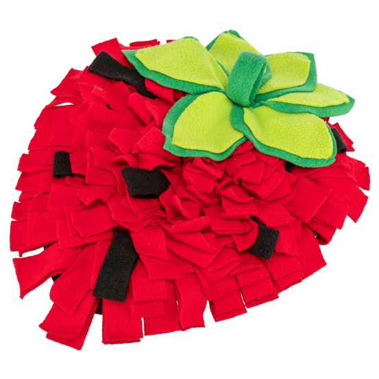 Tapis de fouille fraise