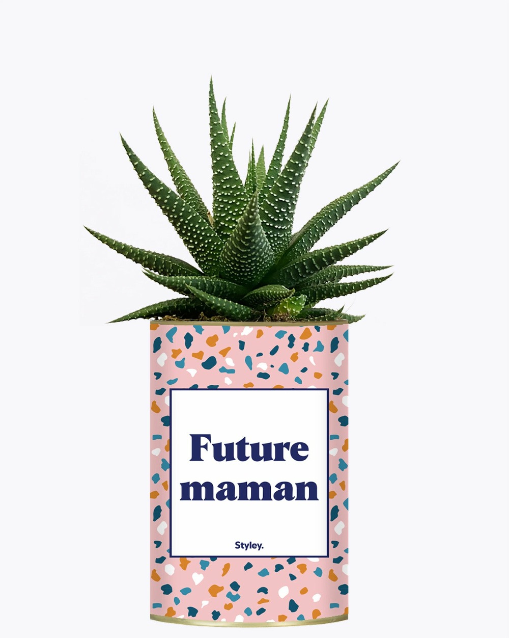 Plante à message - future maman - plante