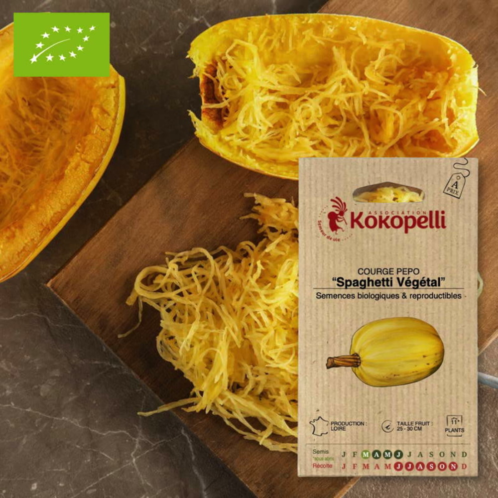 Courge pepo spaghetti végétal- graines bio à semer