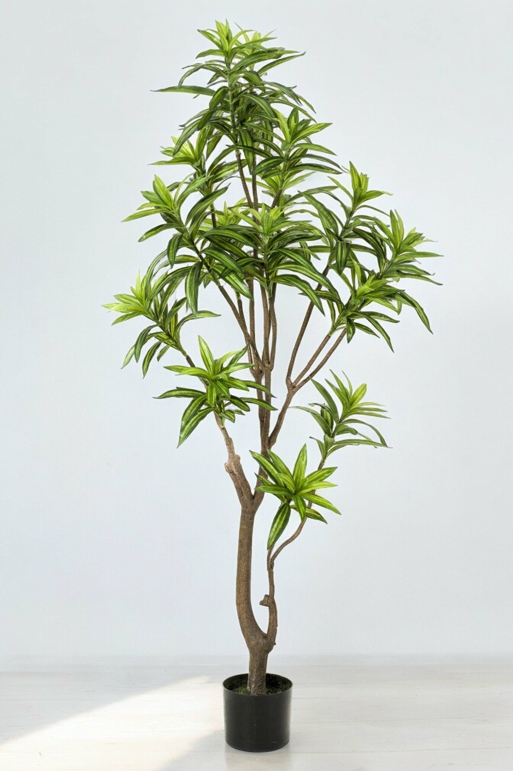 Dracaena plante artificielle - h160cm, ø12cm