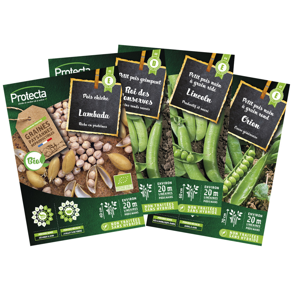 Pack pois - pois chiche labada, pois à rames, pois nain lincoln, pois nain orion