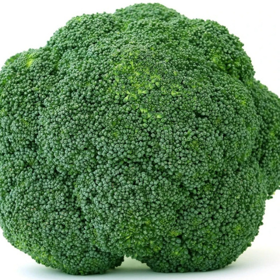 Plants de chou brocoli koros f1 barquette de 6 mottes