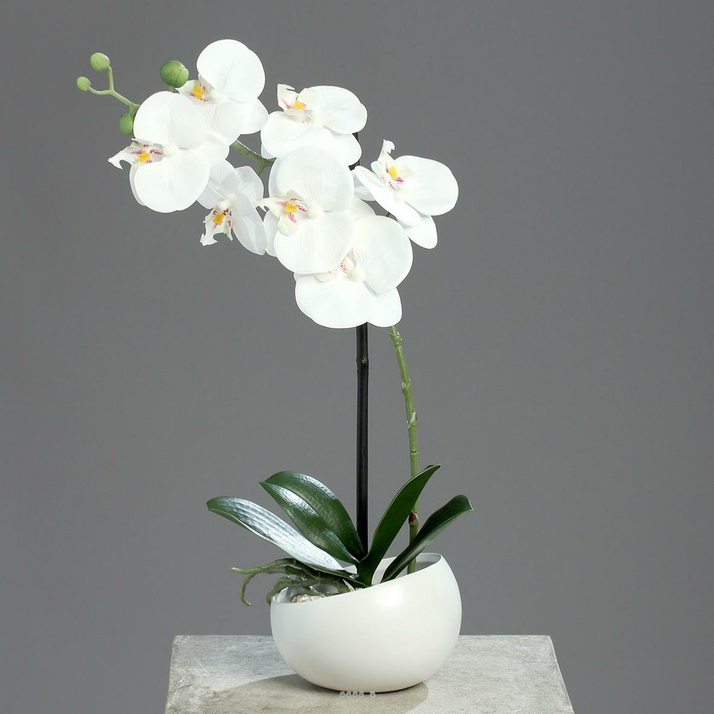 ORCHIDEE ARTIFICIELLE 1 H 2-(939469)