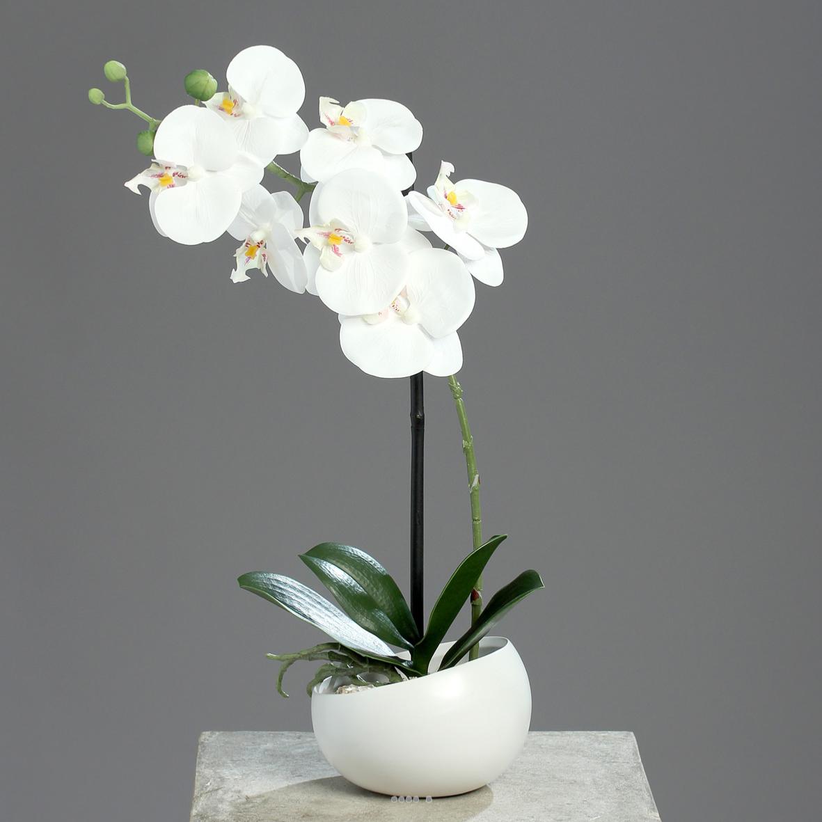 Orchidée factice 1 hampe coupe céramique h40cm touché réel blanc neige - couleur
