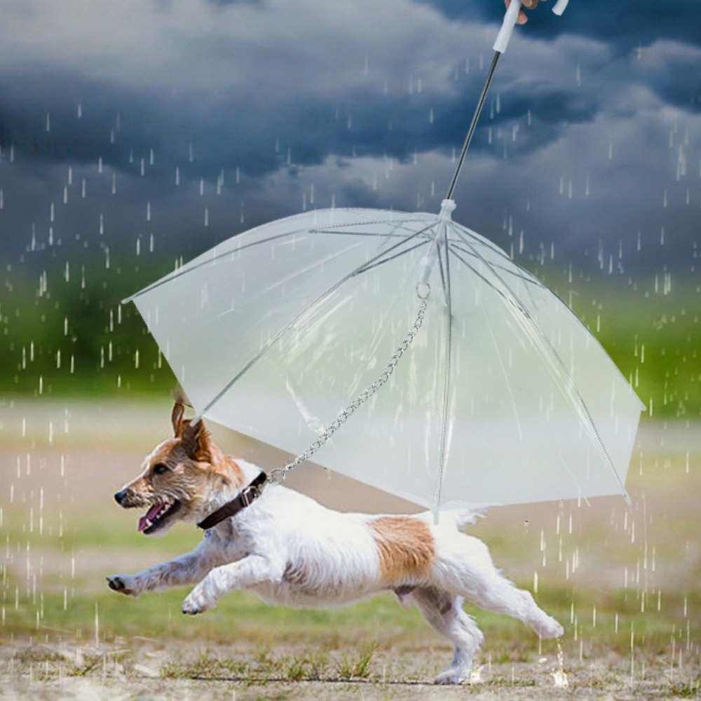 Parapluie transparent imperméable pour chien-diamètre du parapluie 70 cm